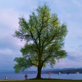 Felipe Lima Roth – “Through the Time” – www.instagram.com/viagemdearquiteto