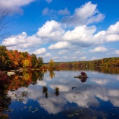 Yelena Casale – “Reflection” – www.facebook.com/YelenaCasaleArt