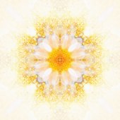 Skottie O'Mahony – “Floral Filigree” – www.shop.skotoart.com