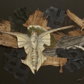 Sheila Eder – “Bug” – www.sheilaedercollage.com