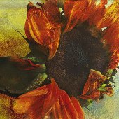 Michael J. White - “Last Days of the Sun” – www. mjwdesigns.art