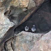 Perla Sofia Gonzalez - “Home” – www.arteperlasofia.com