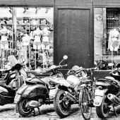 Jessica Levant - “Stop and Shop” – www.jessicalevant.com