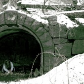 George L. Stein– “Cold Shelter” – www.georgelstein.com