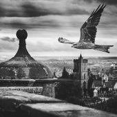 Andrew Haysom – “Kite over Stirling” – www.andrewhaysom.myportfolio.com