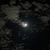 Sue Smith – “Meteoroid Crossing the Moon” – www.assp.suesmithphotography.com.au