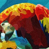 Roumiana Damianova – “Roommate” – www.celesteprize.com/roumiana.damianova