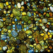 Mary McKenna Ridge - "Beach Finds” – http://marymckennaridgephotography.squarespace.com/