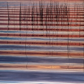 Wenda Pyman - "Emergence” – https://wendapyman.photoshelter.com/