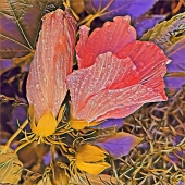 Joanne Chase-Mattillo – “Dew Drop” – http://www.joannechasemattillo.com/