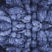 Jim Stasiak – “RiverFlow” – http://www.wisefishworld.com/