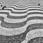 Emilda Jaccard – “Pidgeons” – emildaj@cox.net