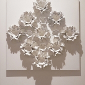 Robyn Dansie – “Snow Flowers” - http://www.robyndansie.com/