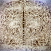 Sapiena - "73021” – https://www.instagram.com/sapiena1/