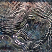 Deb Covington - "Naturally Abstract” – BD.Cov@twc.com