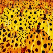 Mary McKenna Ridge - "A Stash of Pumpkins” – http://marymckennaridgephotography.squarespace.com/