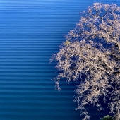 Lawrence Bridges - "Angles's Camp” – http://www.lawrencebridges.com/