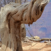 Tommy Crane – “Bent out of Shape” – tjcrane@valdosta.edu