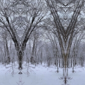 Dan Lloyd – “Bare ruin'd choirs” – dan.lloyd@trincoll.edu