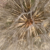 BL Crocker – “Time” – cobra4195@gmail.com