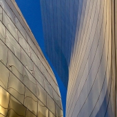 Emilda Jaccard – “Harmony” – emildaj@cox.net