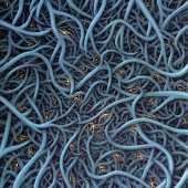 8th Place – Jon Carroll Otterson - "Thermogenesis” – http://joncarroll-otterson.pixels.com