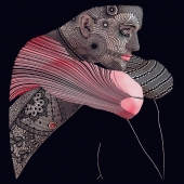 1st Place – Christophe Szkudlarek - "Créature” – https://christo-szk.mywizi.com