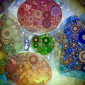 5th Place – ChaCha - "Color Fields” – http://studiodoorz.com