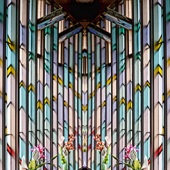 John Pingree - “Stained Glass” – https://jpingreephotography.wordpress.com/
