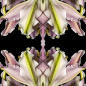 Dick and Rosanne - “Mandelbrot” – http://www.dickandrosanne.com/