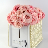 5th Place - 3D - Ruppert (1) Img #1  For The Modern Woman