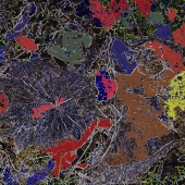 Aly (1) Img #1  Colorpatch