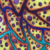 McKern (3) Img #5  Biological Jazz #2