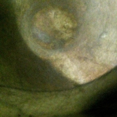 Bantug (1) Img #2  Textural Subtlety