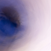Robinson -C (1) Img #3  6654.09.15