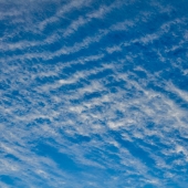 Sohlman (1) Img #1  Blue Sky