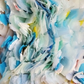 Baird (1) Img #2  Ocean