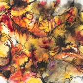 Blythe (1) Img #5 Firehorse