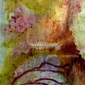 Boldina (2) Img #4 The Scars We Wear (1)