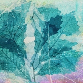 Brizendine (1) Img #1 Spring Leaves