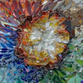 Busca (1) Img #1  Birth Re-