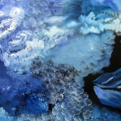 Case (1) Img #1  Artic Ballet