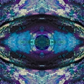 Chalmers (1) Img #1 Fungeye