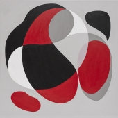 Chaney (1) Img #4  Veiled Lady