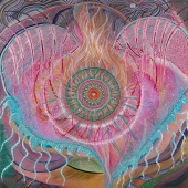 Cove (1) Img #1  First Sight