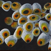 Hoye (1) Img #1  Knee Jerk Responses