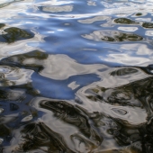 Kline (1) Img #1  Water on the Brain