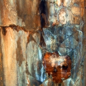 Meluso 2 (1) Img #1  Emergence of Endearment