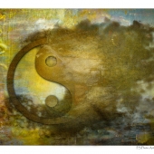 Nakano (2) Img #1 Ying and Yang in an Unbalanced World