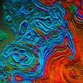 Taylor (1) Img #4  Earth, Wind and Fire